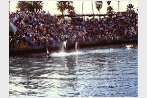 Disneyland och Sea World (17).JPG